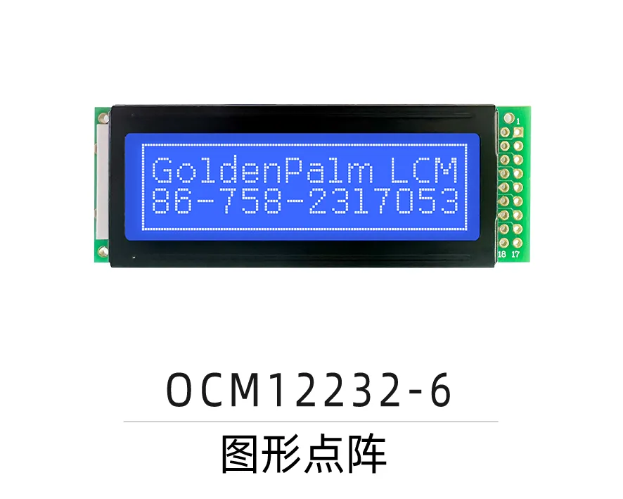 OCM12232-6
